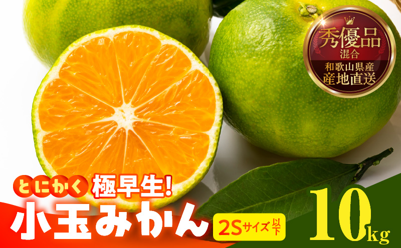 専用♥お年玉超特価⭐みかん❤超ふかふか♥極暖Ｗボア★特大ブランケット⭐ Amazon.co.jp: ぐでたま ふかふかブランケットBOOK 【特別付録:3WAY