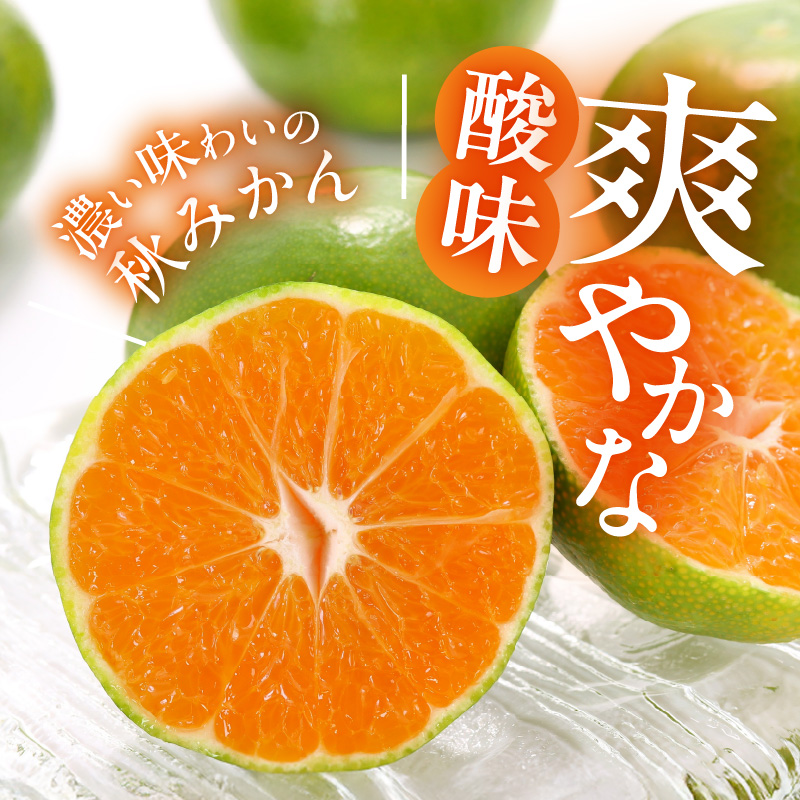 MK1063_【2026先行予約】ゆら早生 みかん 山から直送 箱込 7.5kg ( 内容量 6.8kg ) 採れたてそのままごろごろ規格 有田みかん 和歌山県産