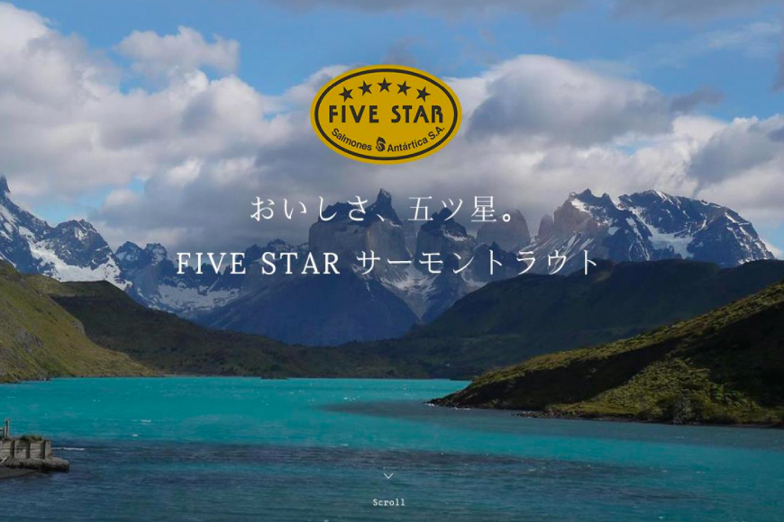 宮城県気仙沼市のふるさと納税 FIVE STAR ブランド 訳あり サーモン トラウト スライス 総重量 1kg 200g×5p [カネダイ 宮城県 気仙沼市 20565178] 魚 魚介類 刺身 小分け 冷凍 鮭 さけ 海鮮 切り落とし 生食用 真空パック さけ サケ 食品 生食 サーモントラウト 手巻き寿司 丼 海鮮丼 カルパッチョ 個包装 お刺身