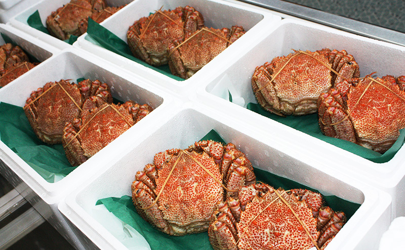 ［冷蔵便］茹でたて直送！北海道産 または ロシア産 朝茹で毛ガニ 約800g×1尾【 かに カニ 蟹 幕別町 北海道 毛蟹 毛ガニ 海鮮 魚介 海の幸 海産物 冷蔵 】