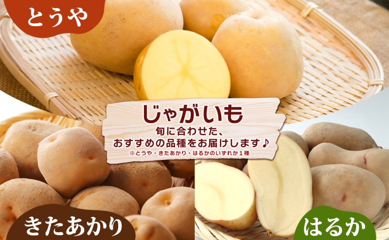 R8年産 先行受付 南瓜 くりりん じゃがいも 計10kg 2026年9月下旬よりお届け ホクホク 甘い 栗 ホクホク 産地直送 お取り寄せ 国産 小野寺農園 北海道 洞爺湖町