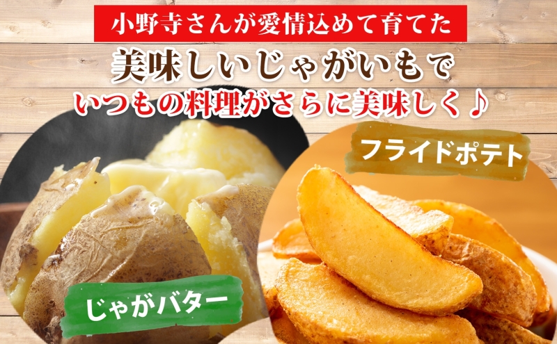 R8年産 先行受付 じゃがいも きたあかり 10kg 2026年9月下旬より順次出荷 栗じゃがいも ホクホク 甘い ポテトサラダ コロッケ 産地直送 お取り寄せ 国産 小野寺農園 北海道 洞爺湖町 