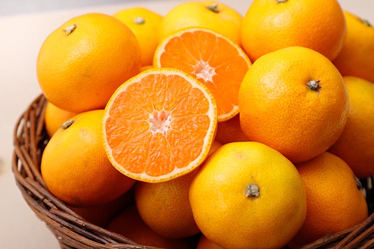 ＼光センサー選別／極 有田みかんプレミアム 約3.5kg【光センサー 高糖度選別品】2S～Mの小玉サイズ 有機質肥料100% | 光センサー選別 温州みかん みかん 高糖度 柑橘 果物 フルーツ 甘い◇※2025年11月下旬～2026年1月上旬頃に順次発送予定 ※北海道・沖縄・離島への配送不可