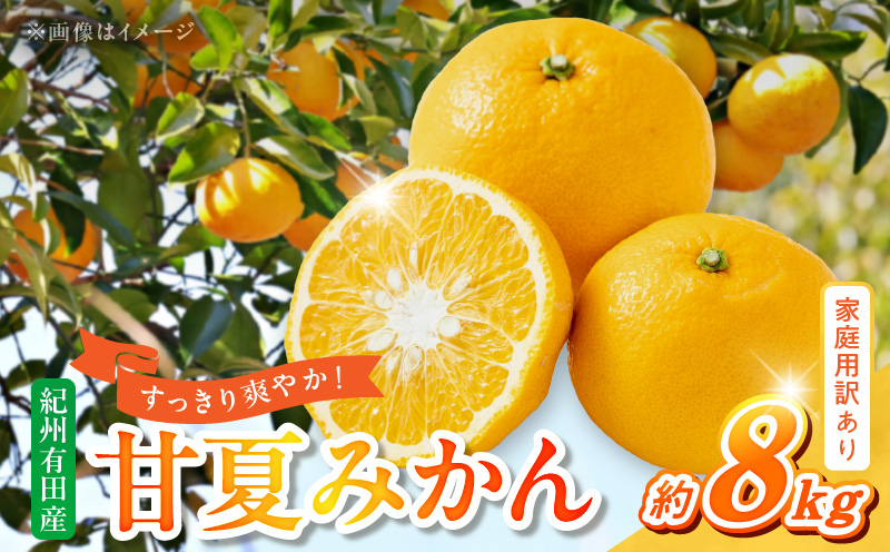 G7362_【2026年先行予約】【ご家庭用】【訳あり】紀州有田産　すっきり爽やか　甘夏みかん　８kg