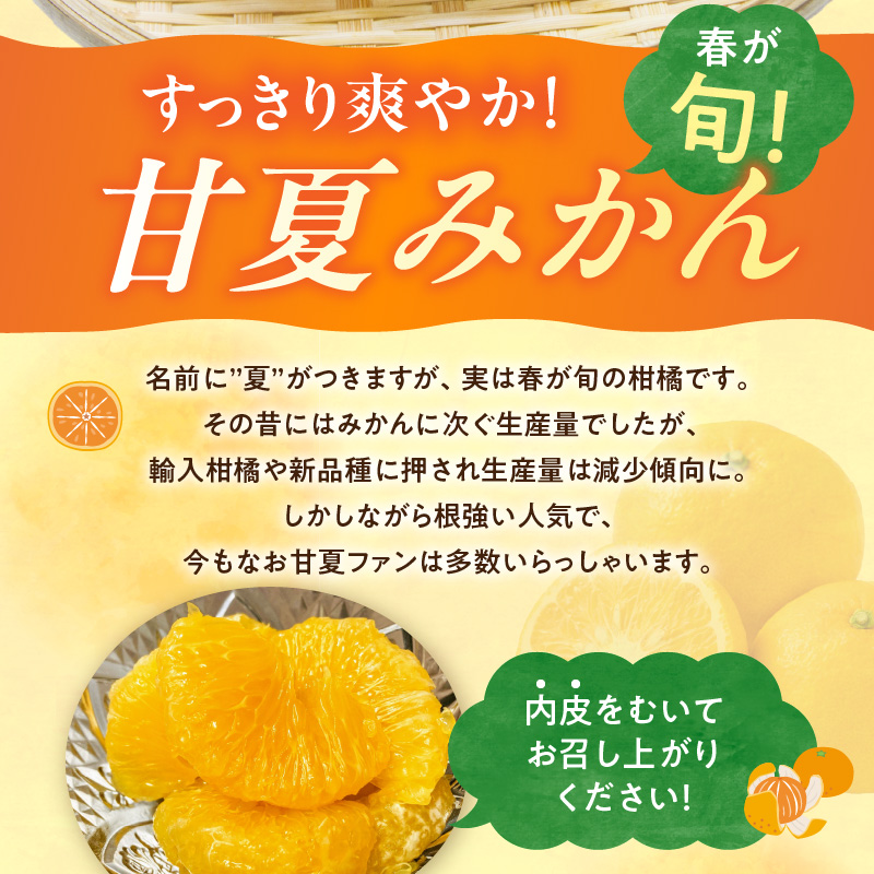 G7362_【2026年先行予約】【ご家庭用】【訳あり】紀州有田産　すっきり爽やか　甘夏みかん　８kg