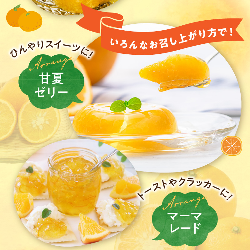 G7362_【2026年先行予約】【ご家庭用】【訳あり】紀州有田産　すっきり爽やか　甘夏みかん　８kg