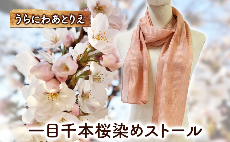 y{錧͌zڐ{߃Xg[  ڐ{ V[ VN t@bV Mtg 蕨 v[g