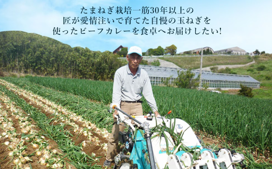 淡路島の牛肉とたまねぎ使用　今井ファームビーフカレー　200ｇ×10食　　レトルトカレー 保存食 ご当地カレー