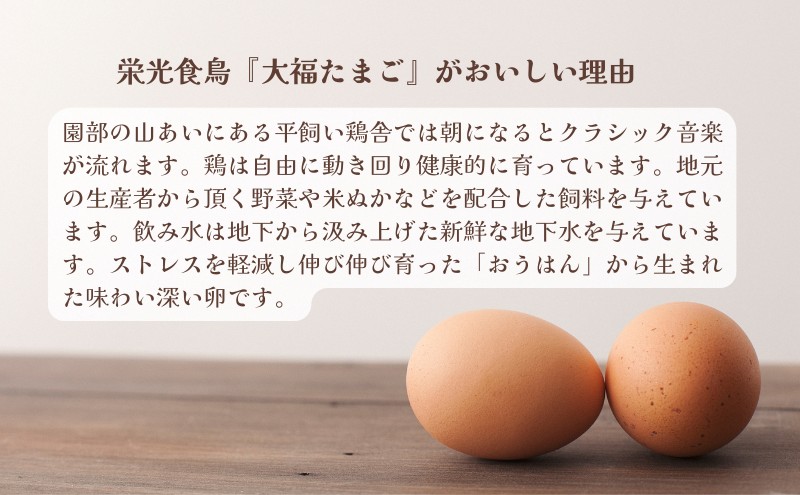産地直送 大福たまご 20個