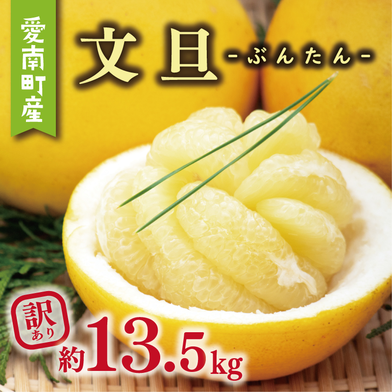 訳あり 文旦 13.5kg 10000円 ぶんたん みかん mikan 蜜柑 ミカン わけあり 家庭用 産地直送 国産 農家直送 糖度 期間限定 数量限定 特産品 ゼリー ジュース アイス 人気 限定 甘い 果実 果肉 フルーツ 果物 柑橘 ビタミン 健康 美味しい おいしい ジューシー 小玉 含む サイズ ミックス 規格外 傷み補償 500g ミッチーのおみかん畑 愛南町 愛媛県