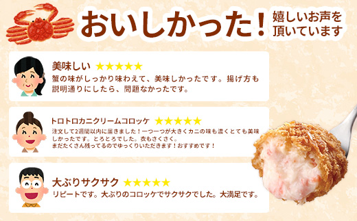 島根県安来市のふるさと納税 【定期便】山陰ごほうびコロッケ16個入 隔月3回【80g 16個 カニ クリーム コロッケ ごほうび ごちそう 美味しい パーティー おもてなし 人気 簡単 時短 タイムパフォーマンス 小分け べにずわいがに ズワイガニ とろとろ 定期便 冷凍 おかず 惣菜 島根県 安来市】