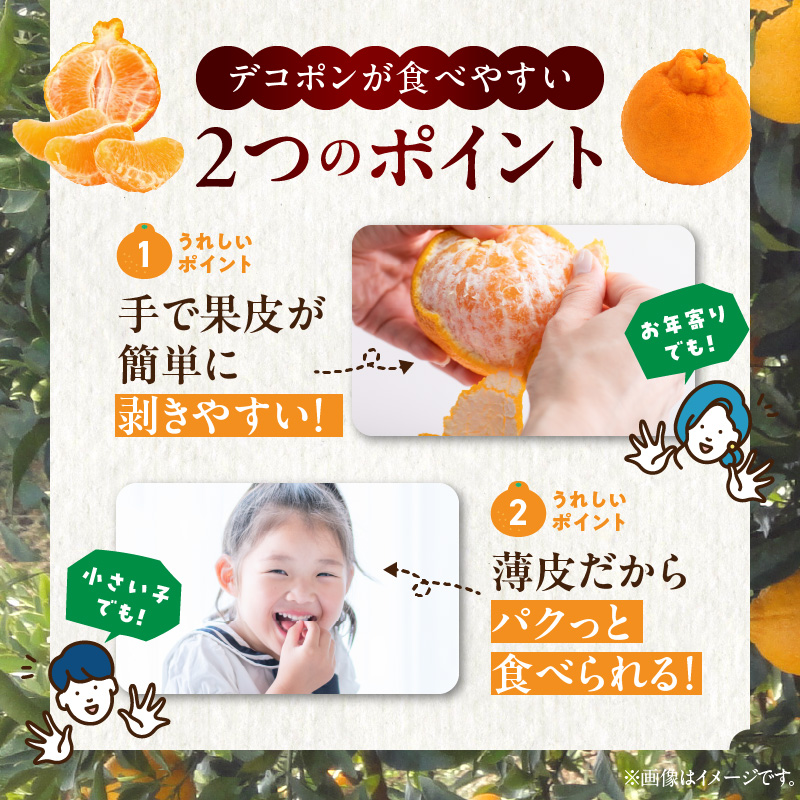 BD7008_【2026年先行予約】和歌山有田産 デコポン秀品のみ！ 2.5kg（9～12玉）