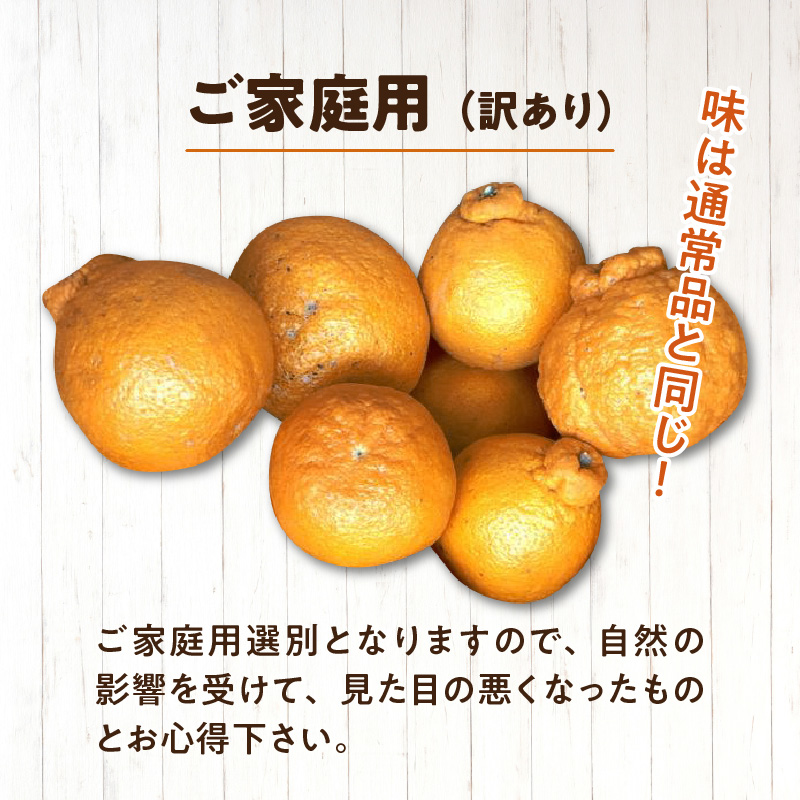 ZD92070_【2026年先行予約】【濃厚】有田の不知火 (デコポン) 【訳あり 家庭用】 4.5kg (サイズ混合)