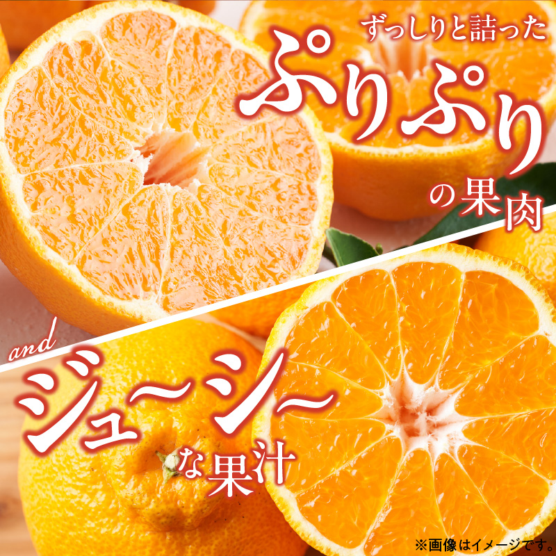 ZD92070_【2026年先行予約】【濃厚】有田の不知火 (デコポン) 【訳あり 家庭用】 4.5kg (サイズ混合)