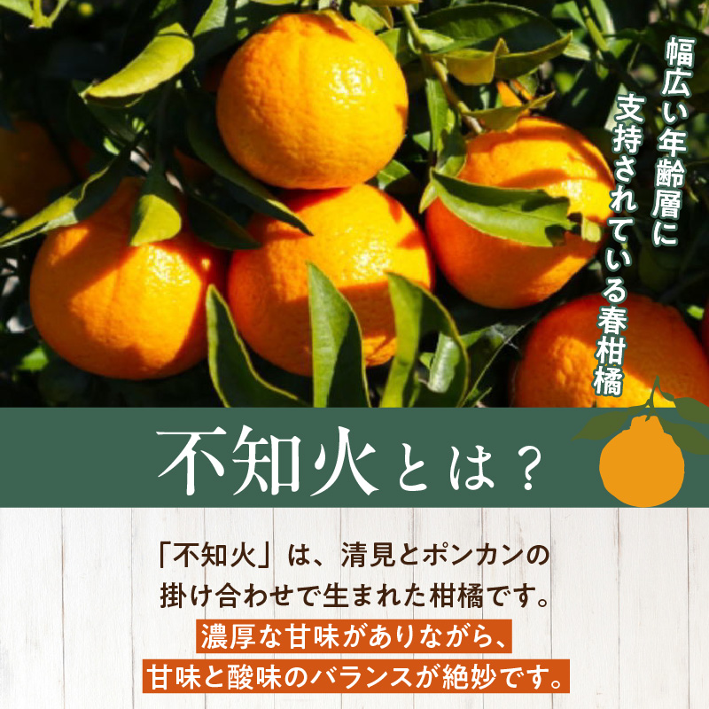 ZD92070_【2026年先行予約】【濃厚】有田の不知火 (デコポン) 【訳あり 家庭用】 4.5kg (サイズ混合)