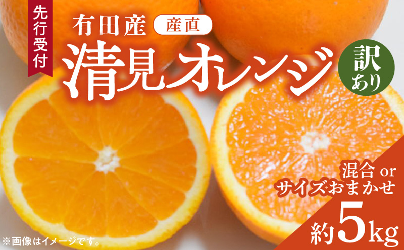 【和歌山県有田郡湯浅町】ZD92071_【2026年先行予約】【産直】有田産清見オレンジ 約5kg(訳あり家庭用サイズおまかせまたは混合)