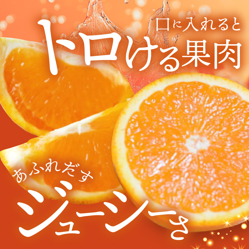 ZD92071_【2026年先行予約】【産直】有田産清見オレンジ 約5kg（訳あり家庭用サイズおまかせまたは混合）
