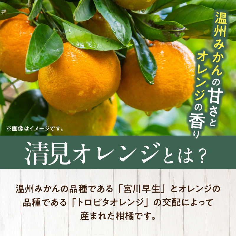 ZD92071_【2026年先行予約】【産直】有田産清見オレンジ 約5kg（訳あり家庭用サイズおまかせまたは混合）