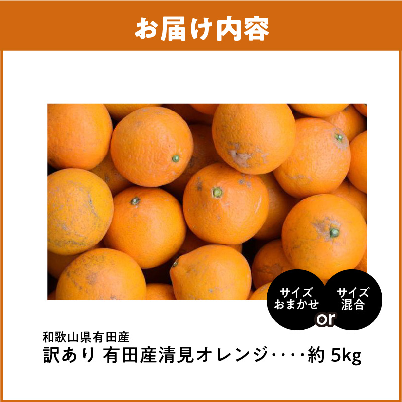 ZD92071_【2026年先行予約】【産直】有田産清見オレンジ 約5kg（訳あり家庭用サイズおまかせまたは混合）
