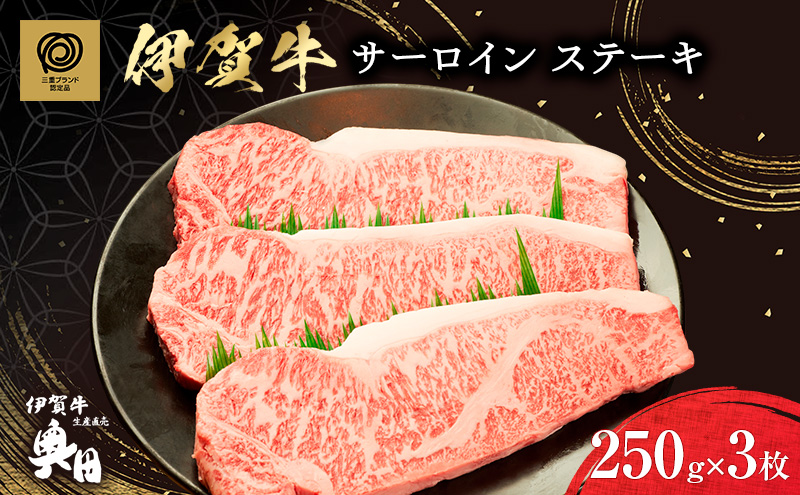 yOdszɐɉꋍT[CXe[L3