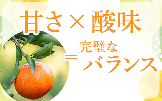 【まごころ手選別】和歌山産 有田みかん 4kg (2S～Lサイズ混合) ※2025年11月上旬～2026年1月下旬頃に順次発送予定