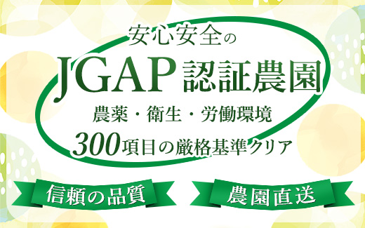 【まごころ手選別】和歌山の有田みかん 5kg (2S・Sサイズ混合) ※2025年11月上旬～2026年1月下旬頃に順次発送予定