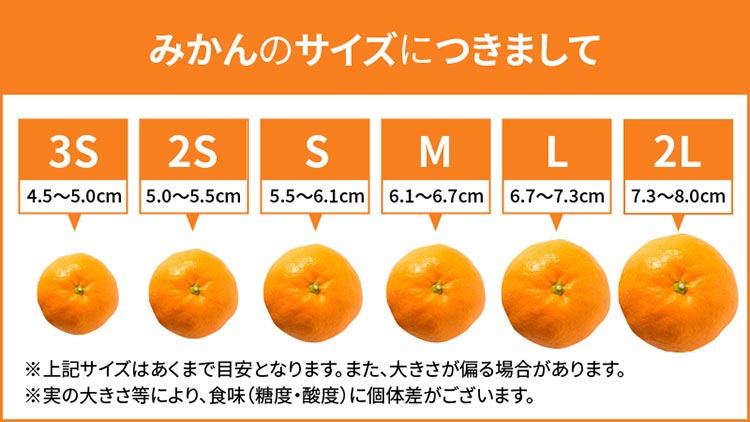 【まごころ手選別】和歌山の有田みかん 10kg 大玉(2L～4Lサイズ混合) ※2025年11月上旬～2026年1月下旬頃に順次発送予定