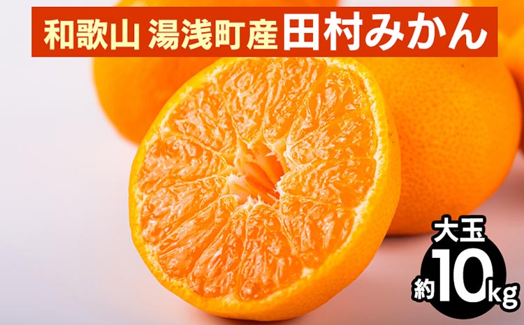 【和歌山県美浜町】和歌山 湯浅町産 田村みかん 10kg【大玉】 ※2025年11月中旬〜2026年1月中旬頃に順次発送予定