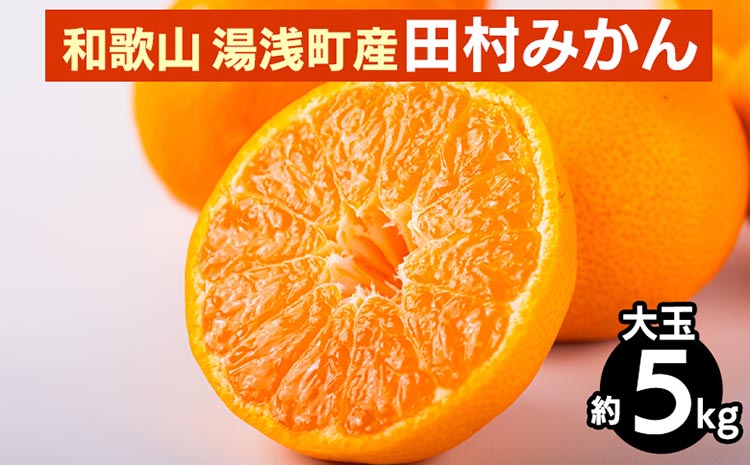 【和歌山県美浜町】和歌山 湯浅町産 田村みかん 5kg【大玉】 ※2025年11月中旬〜2026年1月中旬頃に順次発送予定