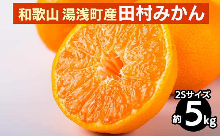 【和歌山県美浜町】和歌山 湯浅町産 田村みかん 5kg【2Sサイズ】 ※2025年11月中旬〜2026年1月中旬頃に順次発送予定