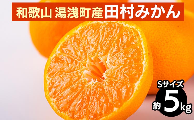 【和歌山県美浜町】和歌山 湯浅町産 田村みかん 5kg【Sサイズ】 ※2025年11月中旬〜2026年1月中旬頃に順次発送予定