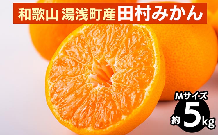 和歌山 湯浅町産 田村みかん 5kg【Mサイズ】 ※2025年11月中旬～2026年1月中旬頃に順次発送予定