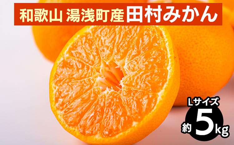 和歌山 湯浅町産 田村みかん 5kg【Lサイズ】 ※2025年11月中旬～2026年1月中旬頃に順次発送予定