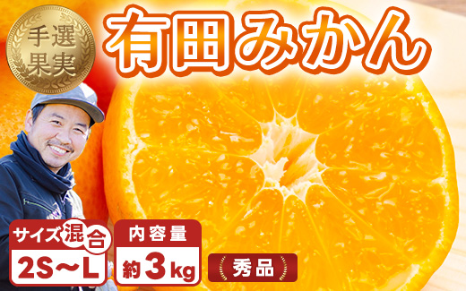 【和歌山県美浜町】【まごころ手選別】和歌山産 有田みかん 3kg 1箱 (2S〜Lサイズ混合) ※2025年11月上旬〜2026年1月下旬頃に順次発送予定
