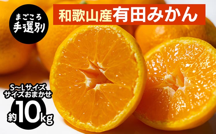 【まごころ手選別】和歌山産 有田みかん 10kg (S～Lサイズ)【サイズおまかせ】 ※2025年11月上旬～2026年1月下旬頃に順次発送予定