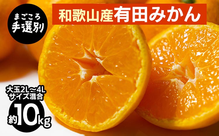 【まごころ手選別】和歌山の有田みかん 10kg 大玉(2L～4Lサイズ混合) ※2025年11月上旬～2026年1月下旬頃に順次発送予定