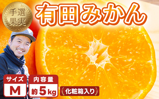 【まごころ手選別】和歌山の有田みかん 化粧箱入り 約5kg Mサイズ ※2025年11月上旬～2026年1月下旬頃に順次発送予定