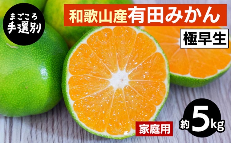 【和歌山県美浜町】【まごころ手選別】和歌山産 有田みかん(極早生) 5kg 家庭用 ※2025年10月上旬〜11月中旬頃に順次発送予定