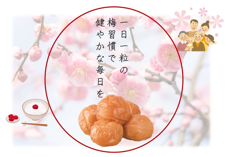 YD1001_紀州南高梅うす塩つぶれ（塩分約6％）700ｇ×2