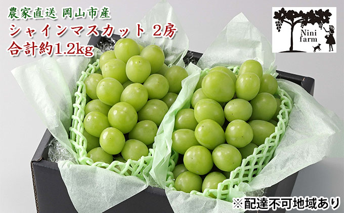 yRzԂǂ 2026N s\ yϓx20xz _Ƃ VC }XJbg 2[ v1.2kg NX uhE  RY Y t[c ʕ Mtg y Nini farm _  z