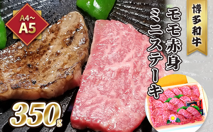 y品z Xe[L A5`A4 a  Ԑg ~jXe[L 350g \[X Ӟt ϔ zs   I 炩 W[V[ uha ~ TV | Ƃ낯 蕨