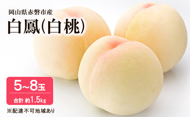 yRԔ֎sz 2026N s\  P 1.5kg 5`8 t[c ʕ R Ԕ֎sY