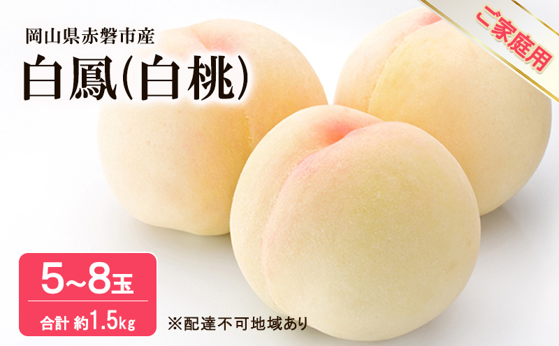 yRԔ֎sz 2026N s\  P 1.5kg 5`8 ƒp t[c ʕ R Ԕ֎sY