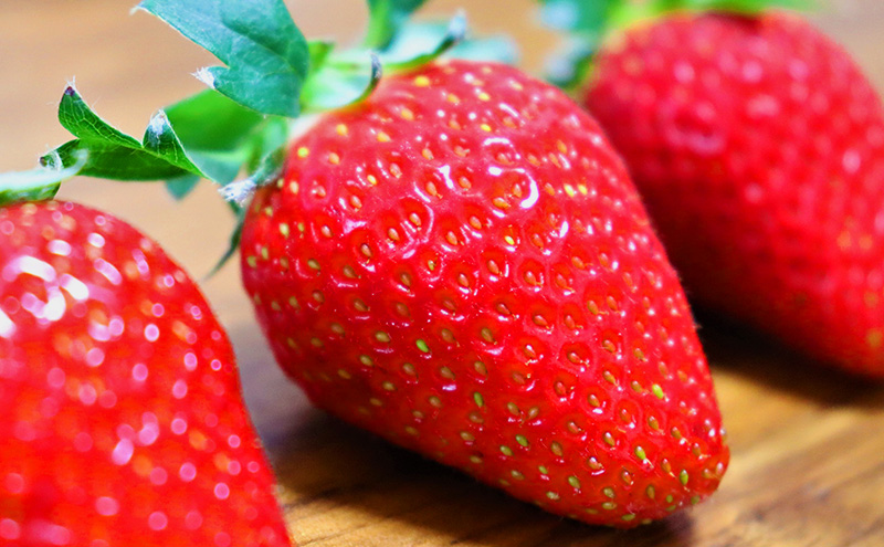 いちご 2026年 先行予約 赤磐市産 イチゴ  1箱 (1パック 約270g×4) おいCベリー 岡山県 赤磐市 苺 果物 フルーツ