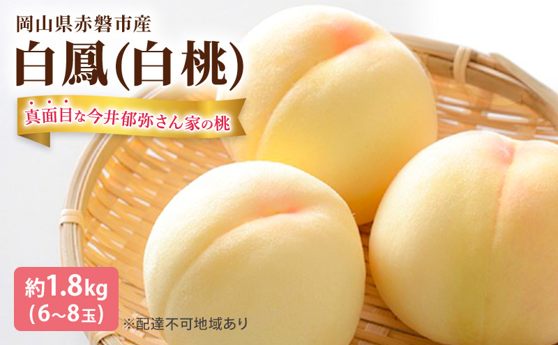 yRԔ֎sz 2026N s\ ^ʖڂȍ킳Ƃ̓  P 1.8kg 6`8 t[c ʕ R Ԕ֎sY