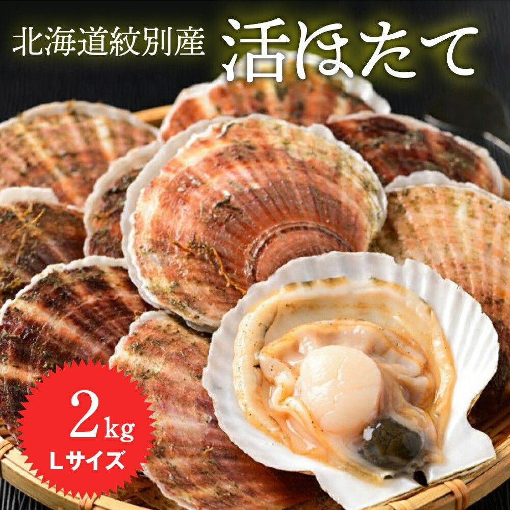 ykCʎsz11-145 kCʎY z^e2kg(LTCY)