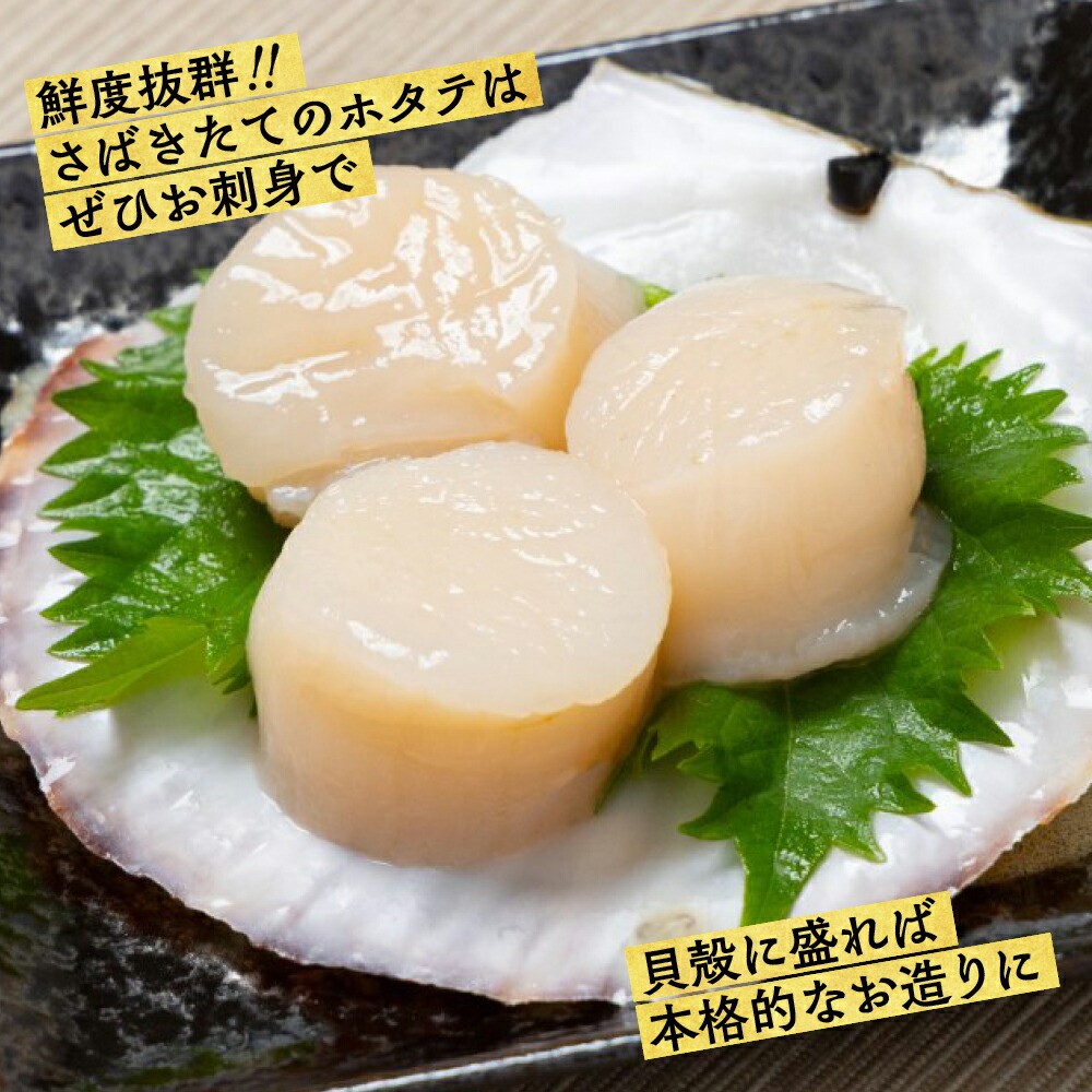 北海道紋別市のふるさと納税 11-145 北海道紋別産 活ホタテ2kg(Lサイズ)
