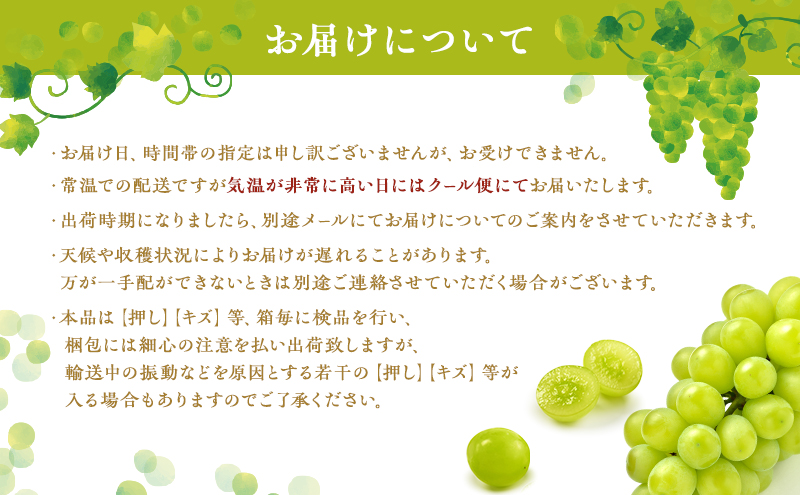 ぶどう 2026年 先行予約 シャイン マスカット 1房 マスカット ジパング 1房 各約700g 詰合せ 贈答箱 ブドウ 葡萄 フルーツ 果物 岡山 赤磐市産 農マル園芸 あかいわ農園 