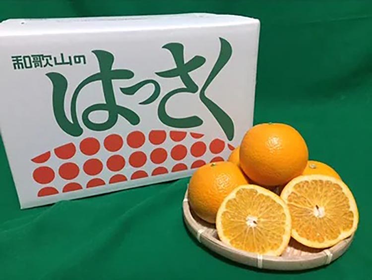 和歌山県産 八朔 4kg 秀品 ※2026年1月上旬～3月下旬頃に順次発送予定