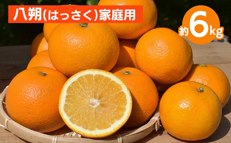 【和歌山県美浜町】和歌山県産 八朔 6kg 家庭用 ※2026年1月上旬〜3月下旬頃に順次発送予定